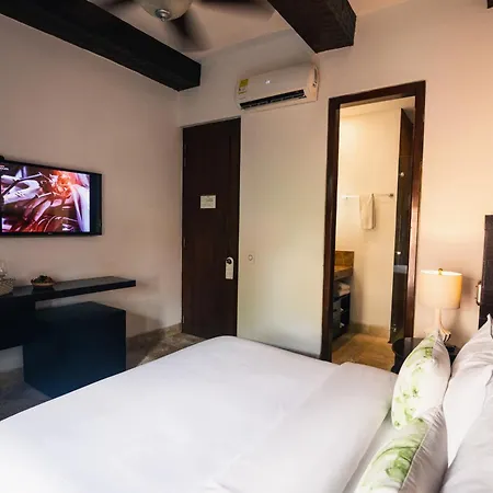 Boutique Santo Toribio Cartagena