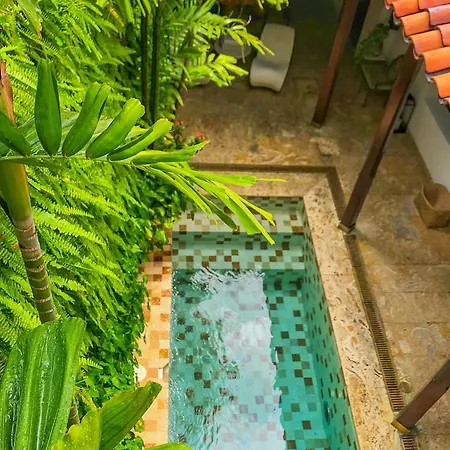 Boutique Santo Toribio Cartagena